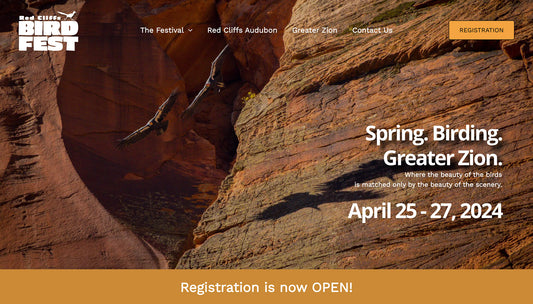 Register Now for the 2024 Red Cliffs Bird Fest