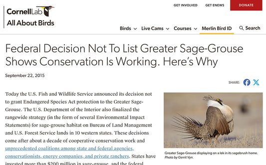 Good News for Sage-Grouse Habitat - Article from All About Birds