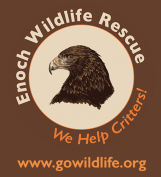 Southwest Wildlife Foundation